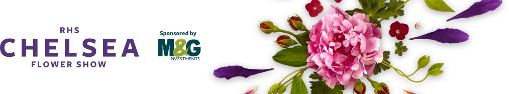 ZYEEN分享|2019英國(guó)切爾西花展花園大獎(jiǎng)已評(píng)出，看看今年的園子有什么不一樣(圖2)