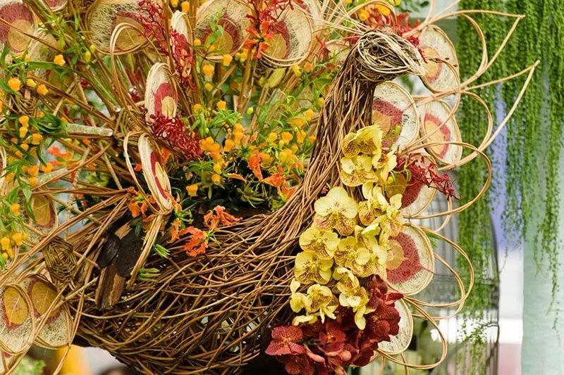 ZYEEN分享|2019英國(guó)切爾西花展花園大獎(jiǎng)已評(píng)出，看看今年的園子有什么不一樣(圖7)