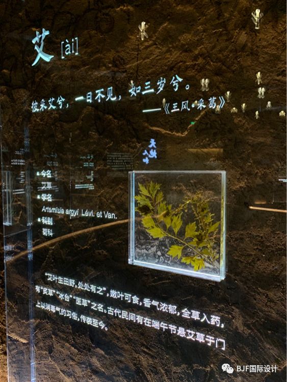 無法去世園會的小伙伴，看這篇就夠了——四館一心(圖6)
